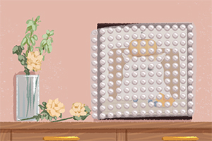 曾为陈水扁绝食的她 为何与蔡英文划清界限？