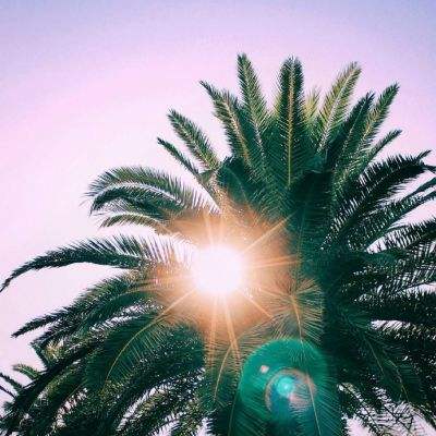 CACLP 2026:华北工控亮相第二十...