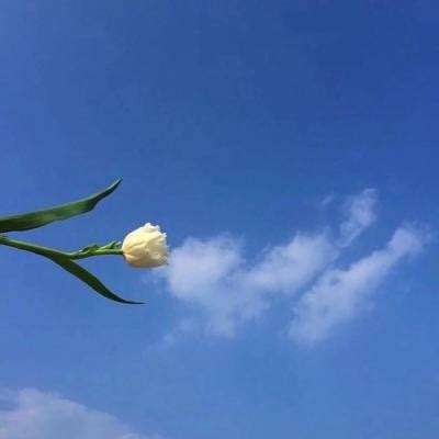 永信贵宾会（官方）最新APP下载正版手游app截图