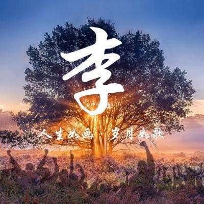 Chewy涨11.8% 利润与营收双双增长，发布乐观业绩展望习近平为“千年大计”作出重要部署
