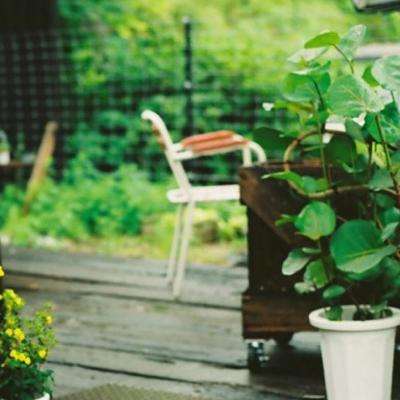 中美双方就特朗普访华事保持着沟通
