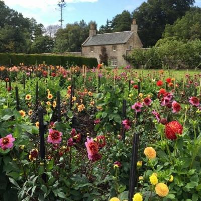 乐鱼电子体育相关推荐1