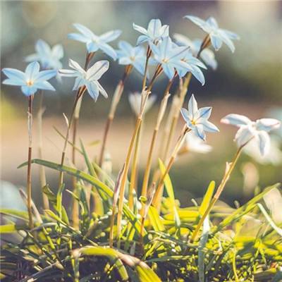 乐鱼体育相关推荐1