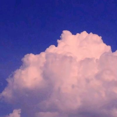 德国财政部长倾向于要求外资企业成立合资公司