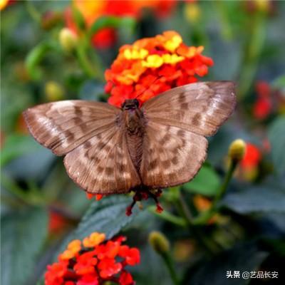 j9九游会真人国际第一