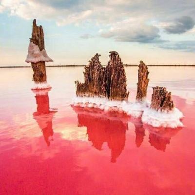 佩帅：三大外援发挥出色 崔康熙：回主场定赢苏宁