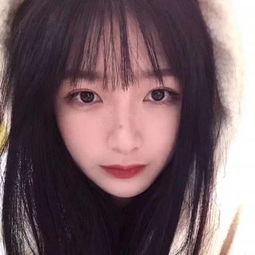 指尖帝国内购破解版