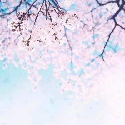 九球体育