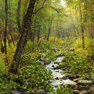 塞力斯医疗科技集团股份有限公司关于实施“塞力转债”赎回暨摘牌的第四次提示性公告