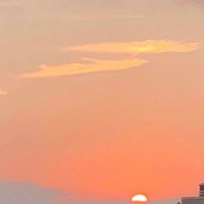 乐鱼电子体育亮点