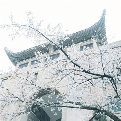二股东全部持股被拍卖！这家民营银行股权被放上“货架”