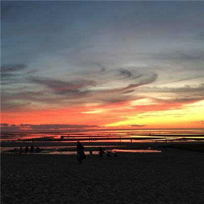 “海关破获46亿元稀土走私案”不实