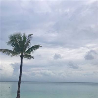 智能经济新形态下，什么是智能体的“硬件底座”