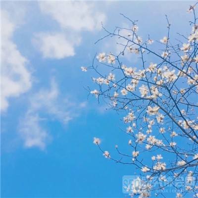 乐鱼体育电竞入口官网