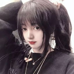 零碳目标下的生存法则：菲仕技术...