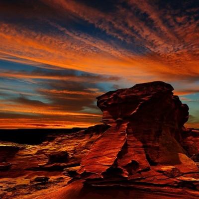 “外卖大战”后，美团全年业绩出炉→