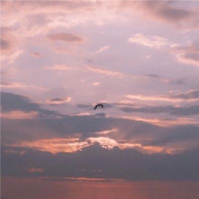 贵宾会娱乐APP/手机APP下载