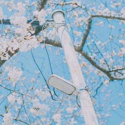 中金:中东资金回来了吗?