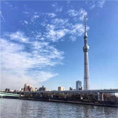 yobo体育娱乐APP/手机APP下载