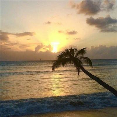 捷蓝航空股价迅速飙升13%， 消息面上，捷蓝航空正寻求潜在的并购合作方。