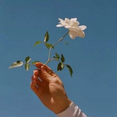 欧洲央行启动新一轮银行私募信贷敞口检查