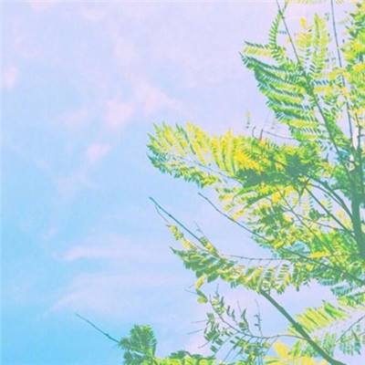 乐鱼体育app下载相关推荐1