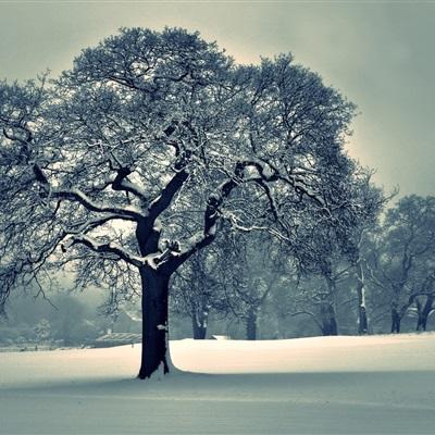 一条微博引发“血案” 3000亿影视股悬了(表)