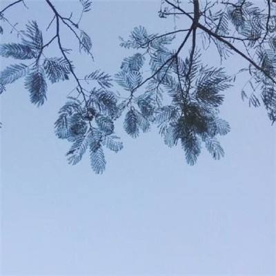 高工对话｜磅旗科技吴小倩：用AI...