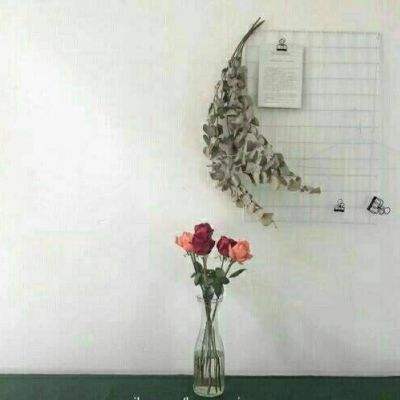 乐竞体育电竞官网