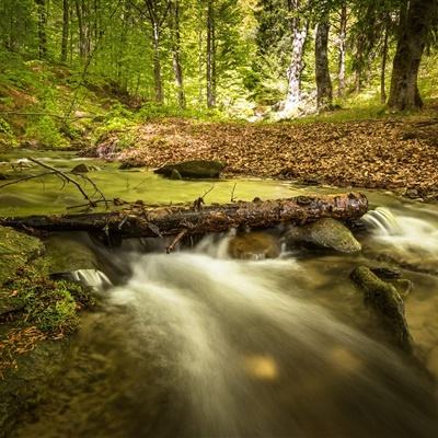 市场消息:韩国呼吁出口商配合稳定汇率。