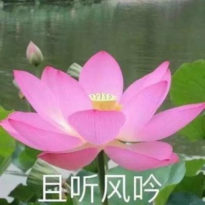 U23国足和泰国队发生冲突