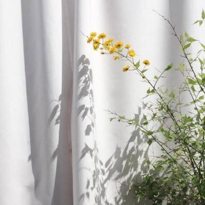 乐鱼体育app下载手机版