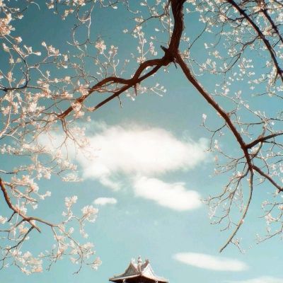 美军公然展示灭岛能力 外媒：特朗普在南海要的不是战争