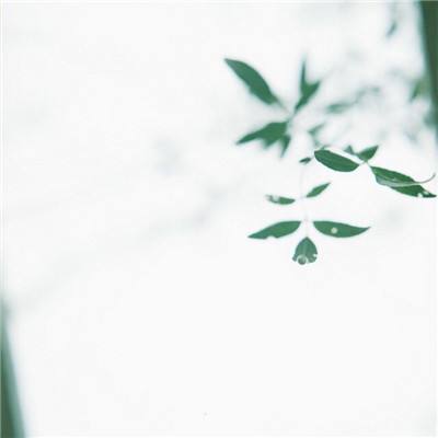 信达证券，辜负了汇金信任