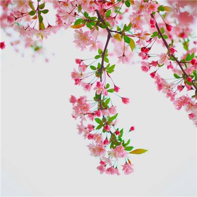 开运app下载官网官方版安装正版最新版v4.0.0.5截图3