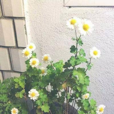 胸怀“千年大计” 奔赴“新的赶考”