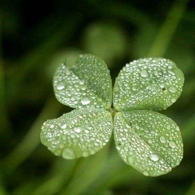 崔永元和范冰冰给中国人上了堂税法普及课，就像当年刘晓庆