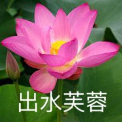 美军公然展示灭岛能力 外媒：特朗普在南海要的不是战争