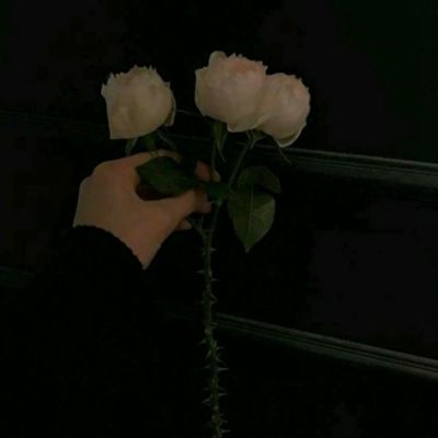 球速体育娱乐下载APP/手机APP下载