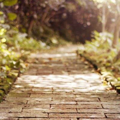 直击业绩会|中信银行董事长方合英：五年来非息收入占比提升9.3个百分点